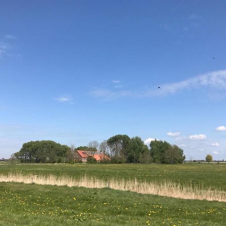 Ferienhof Spiegelhaus Krummhörn Extérieur photo