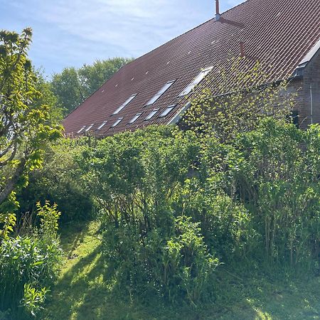Ferienhof Spiegelhaus Krummhörn Extérieur photo